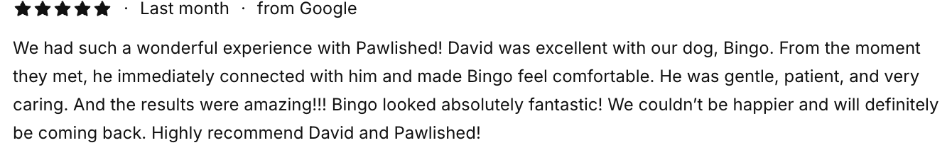 Screenshot of Bingo’s five star Google review